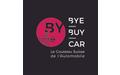 Information : BYE BUY CAR PERPIGNAN