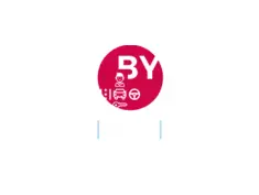 BYE BUY CAR RENNES  Melesse