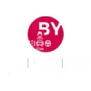 BYE BUY CAR RENNES