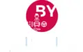 Information : BYE BUY CAR RENNES