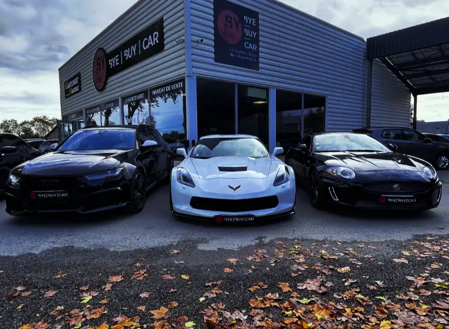 BYE BUY CAR CASTRES OUEST - 13 Chem. Dels Mestièrs &agrave; Vielmur-sur-Agout (81)