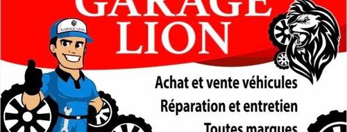 Informations: GARAGE LION