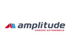 FORD ORLEANS NORD - GROUPE AMPLITUDE Fleury-les-Aubrais