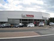 TOYS MOTORS NANCY - 74 Rue Haroun Tazieff &agrave; Maxéville (54)