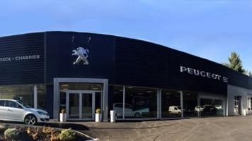 PEUGEOT TULLE
