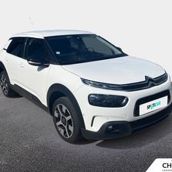 Citroen C4 Cactus C4 Cactus BlueHDi 100 S&S BVM6 Shine Business Dole