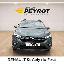 Dacia Sandero Sandero ECO-G 100 Stepway Extreme Laroque