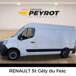 Renault Master FGN TRAC F3500 L2H2 BLUE DCI 135 CONFORT occasion - Saint-G&eacute;ly-du-Fesc - photo 3/24