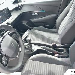 Peugeot 208 208 BlueHDi 100 S&S BVM6 Style Saint-Apollinaire