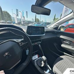 Peugeot 208 208 PureTech 75 S&S BVM5 Active Business Digne-les-Bains