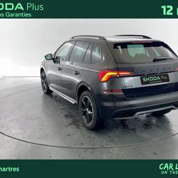 Skoda Kamiq Kamiq 1.0 TSI Evo 110 ch DSG7 Monte-Carlo Luisant