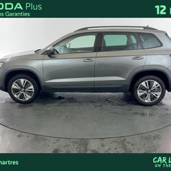 Skoda Karoq Karoq 2.0 TDI 116 ch SCR DSG7 Business Luisant