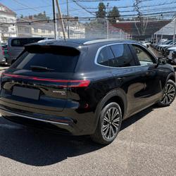 Autres Geely 29.8 KWH MAX+ Le Creusot