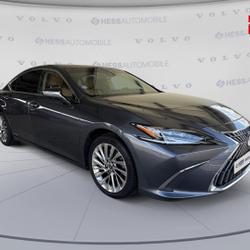 Lexus ES 300h Executive MY21 occasion - Metz - photo 3/30