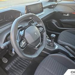 Peugeot 208 208 PureTech 100 S&S BVM6 Active Pack Besan&ccedil;on