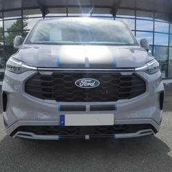 Ford Transit 300 L1H1 2.0 ECOBLUE 170 CH BVA8 SPORT Mably