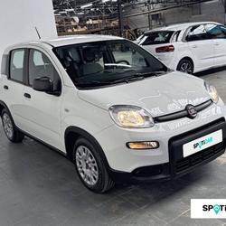 Fiat Panda Panda 1.0 70 ch Hybride BSG S/S Saint-&Eacute;tienne