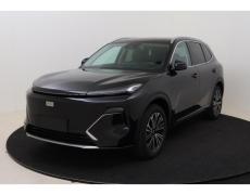 Autres Geely Cercottes