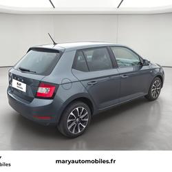Skoda Fabia Combi 1.0 TSI 95 ch BVM5 Drive 125 ans occasion - La Chapelle-Longueville - photo 3/17