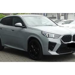 BMW X2 X2 sDrive 20i 170ch DKG7 M Sport Manhac