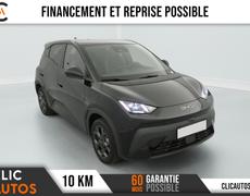 BYD Dolphin Surf Vannes