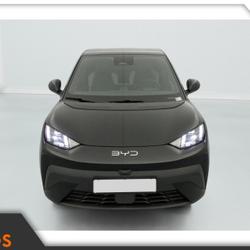 BYD Dolphin Surf - 156 - 43,2 kWh  Comfort Vannes