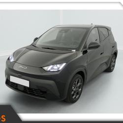 BYD Dolphin Surf - 156 - 43,2 kWh  Comfort Vannes
