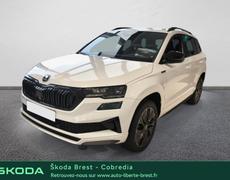 Skoda Karoq Brest