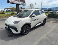 BYD Dolphin - Dolphin Surf 43.2 kWh 88 ch Boost - 20 490 €