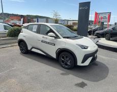 BYD Dolphin Cherbourg-en-Cotentin