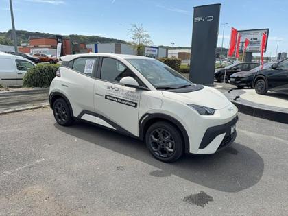 BYD Dolphin - Dolphin Surf 43.2 kWh 88 ch Boost - 20 490 €