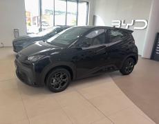 BYD Dolphin Cherbourg-en-Cotentin