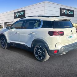 Citroen C5 Aircross C5 Aircross BlueHDi 130 S&S EAT8 Shine Auch