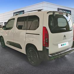 Citroen Berlingo Berlingo Taille M BlueHDi 130 S&S BVM6 Shine S&egrave;te