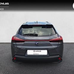 Lexus UX 300e Luxe Vannes