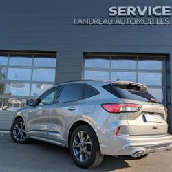 Ford Kuga 1.5 EcoBlue 120ch ST-Line Powershift Dou&eacute;-en-Anjou
