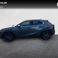 Lexus UX 250h 2WD Luxe Plus MY22 Vannes