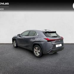 Lexus UX 250h 2WD Pack Vannes
