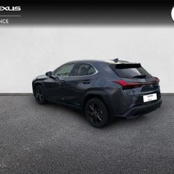 Lexus UX 250h 2WD Luxe Plus MY22 Vannes