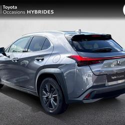 Lexus UX 250h 4WD Luxe MY19 Pl&eacute;rin