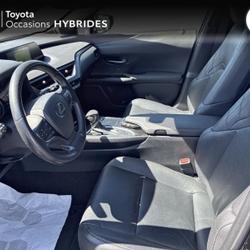 Lexus UX 250h 4WD Luxe MY19 Pl&eacute;rin