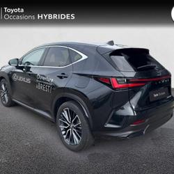 Lexus NX 450h+ Executive 4WD MY24 Brest