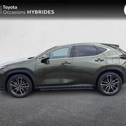 Lexus NX 450h+ Executive 4WD Brest