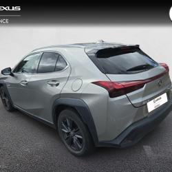 Lexus UX 250h Luxe 2WD Vannes
