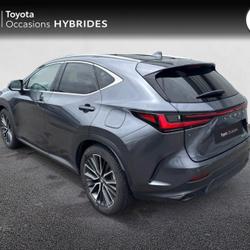 Lexus NX 450h+ Executive 4WD MY25 Brest