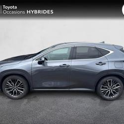 Lexus NX 450h+ Executive 4WD MY25 Brest