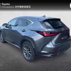 Lexus NX 450h+ Luxe 4WD MY24 Brest