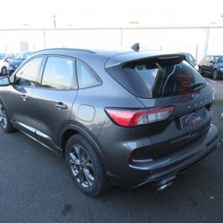 Ford Kuga 1.5 ECOBLUE 120CH ST-LINE POWERSHIFT Saint-Philbert-de-Grand-Lieu