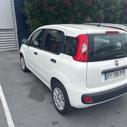 Fiat Panda Panda 1.2 8V 69 ch Easy Perpignan