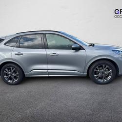 Ford Kuga Kuga 2.5 Duratec 190 ch FlexiFuel FHEV Bio&eacute;thanol Powershift ST-Line X Bassussarry